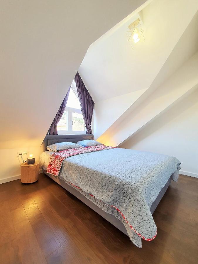 Downtown Apartment سيتينيي المظهر الخارجي الصورة